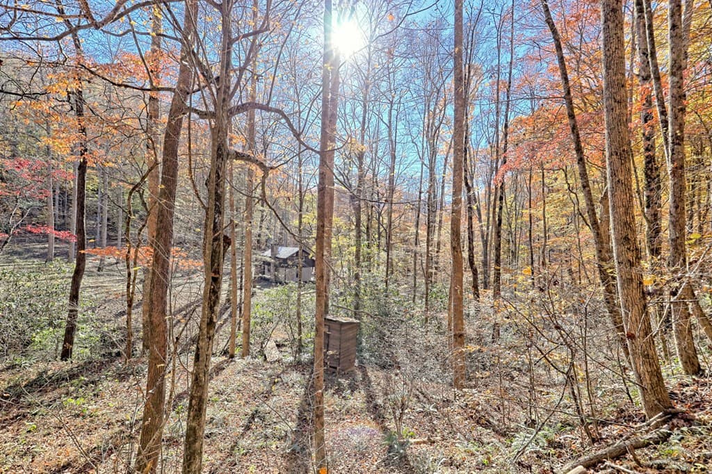 1307 Clear Creek Road, Hayesville NC 28904 - Photo