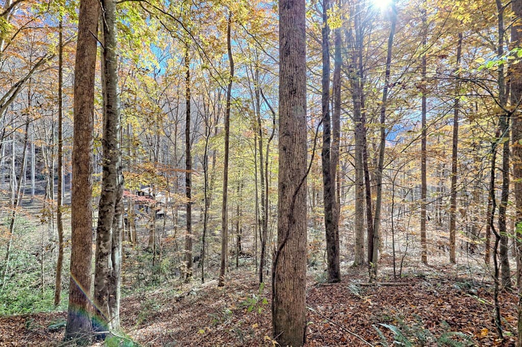 1307 Clear Creek Road, Hayesville NC 28904 - Photo