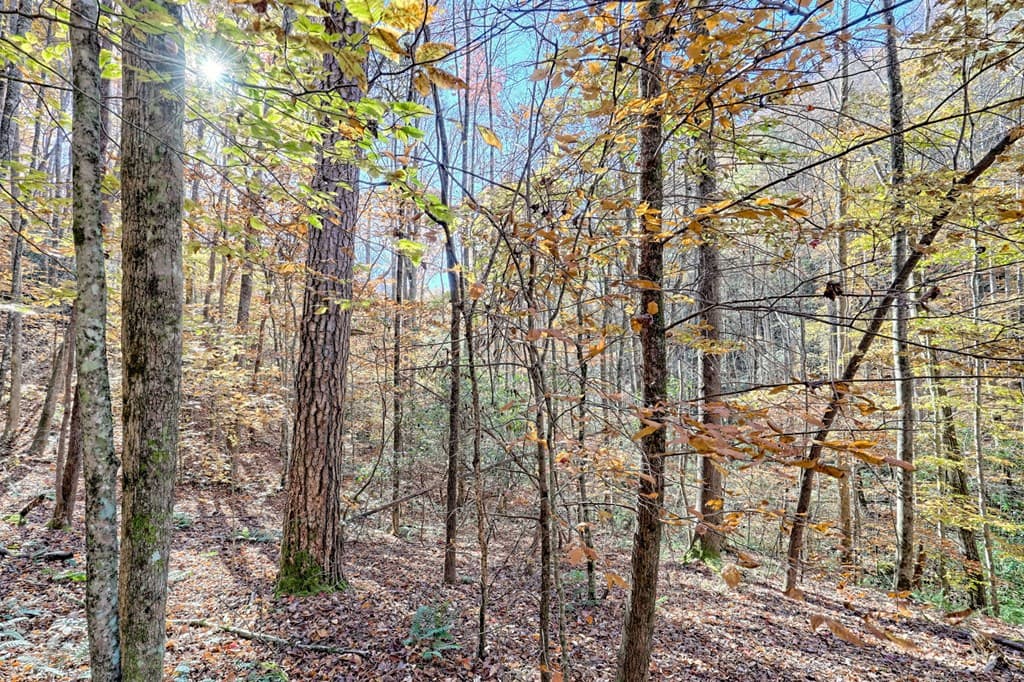 1307 Clear Creek Road, Hayesville NC 28904 - Photo