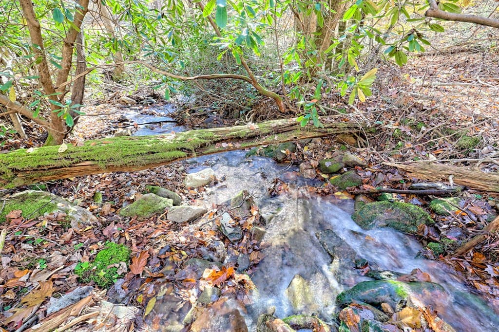1307 Clear Creek Road, Hayesville NC 28904 - Photo