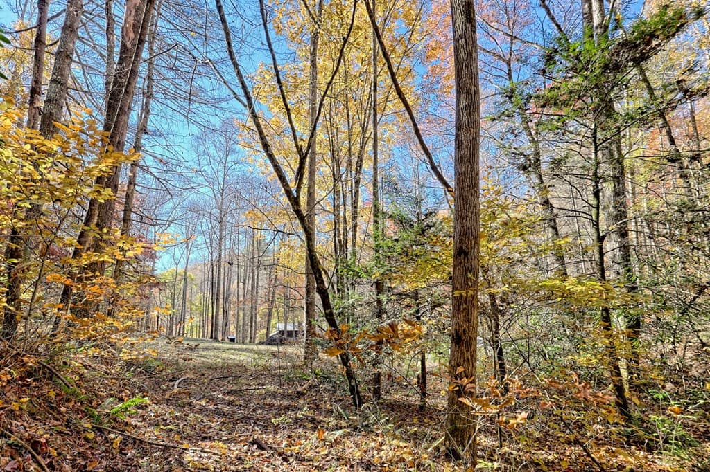 1307 Clear Creek Road, Hayesville NC 28904 - Photo
