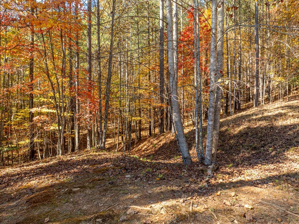 1286 Deyton Drive, Blairsville GA 30512 - Photo