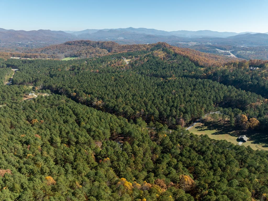 1286 Deyton Drive, Blairsville GA 30512 - Photo