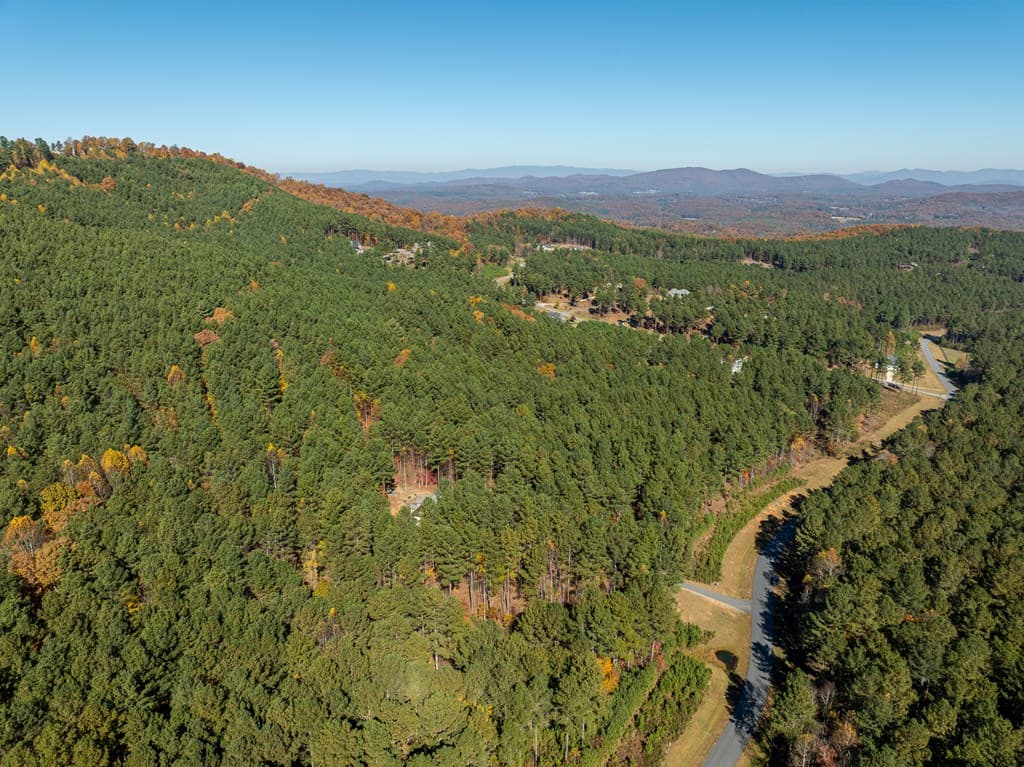 1286 Deyton Drive, Blairsville GA 30512 - Photo