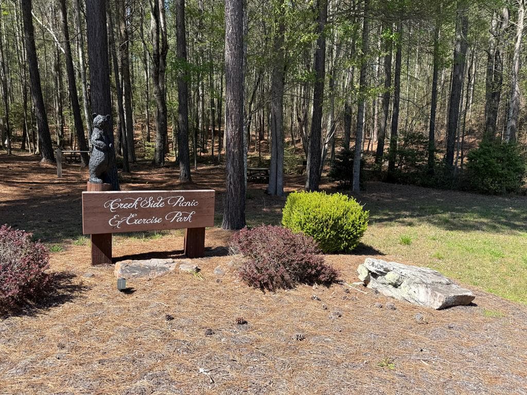 1286 Deyton Drive, Blairsville GA 30512 - Photo