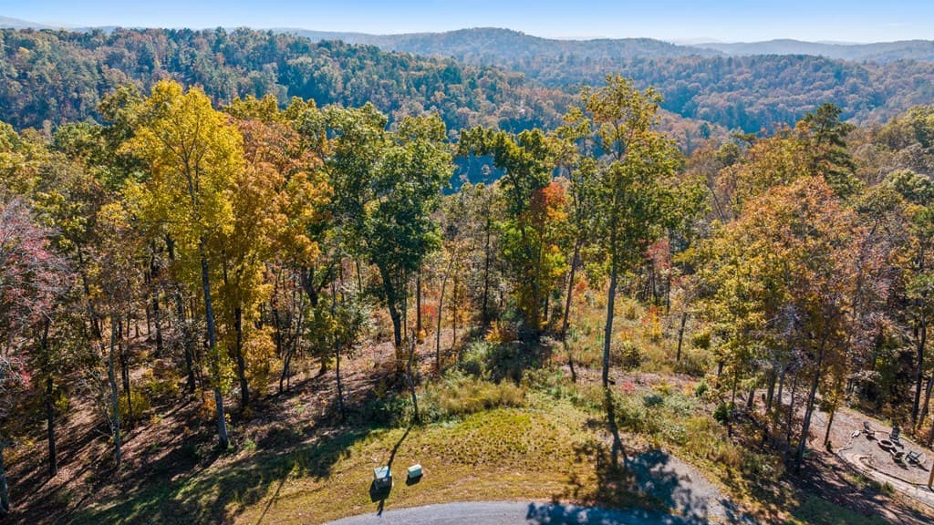 Lot 58 Ridge Line Trail, Ellijay GA 30540 - Photo
