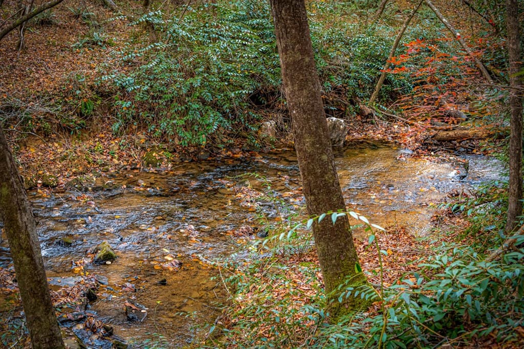90 Hay Lane, Morganton GA 30560 - Photo