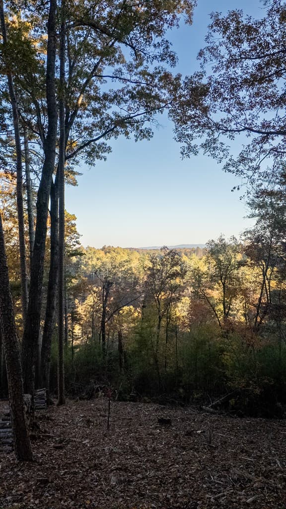 155 Rhondas Way, Ellijay GA 30540 - Photo