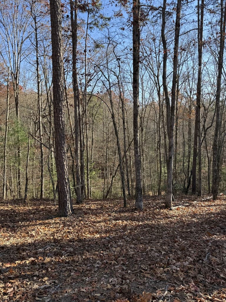 Lot 24 Crestview Point, Mineral Bluff GA 30559 - Photo
