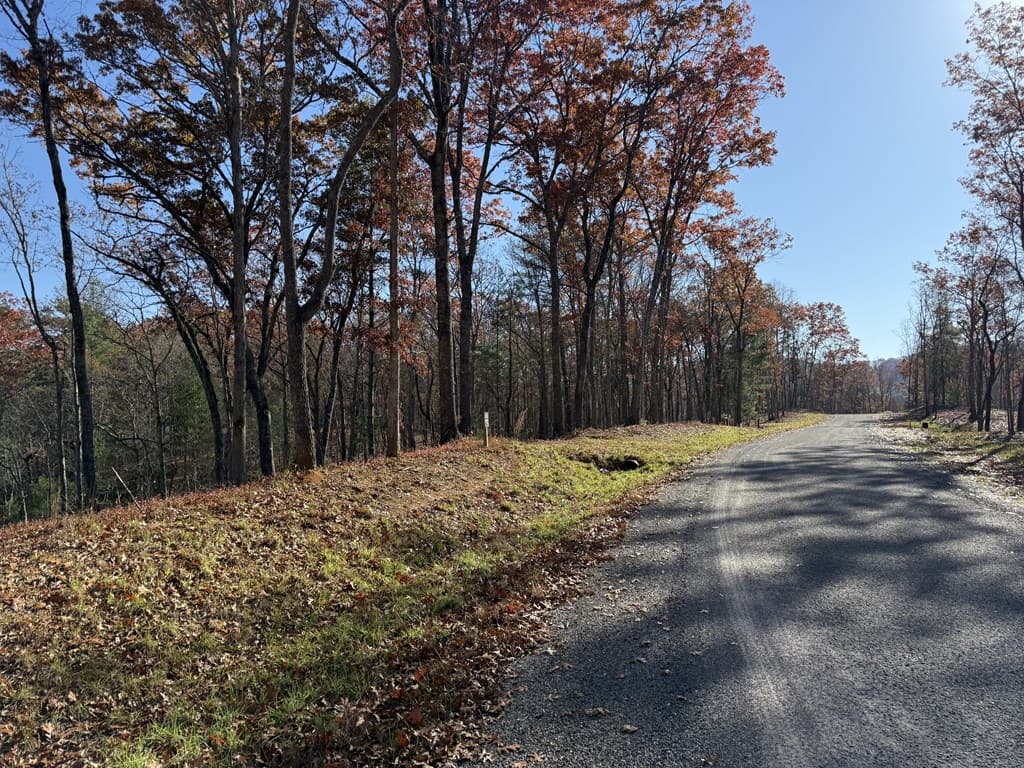 Lot 75 Morgan Road, Mineral Bluff GA 30559 - Photo