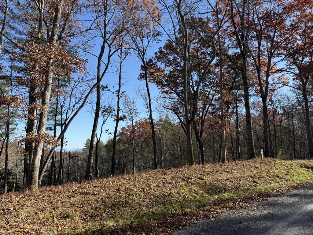Lot 75 Morgan Road, Mineral Bluff GA 30559 - Photo