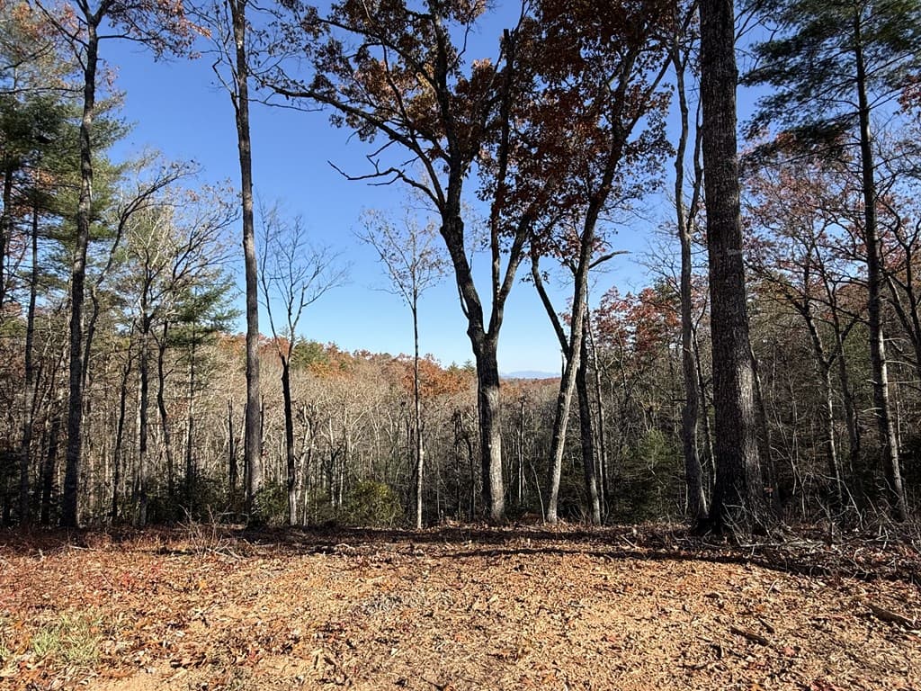 Lot 75 Morgan Road, Mineral Bluff GA 30559 - Photo