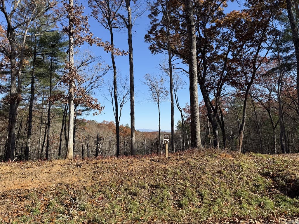 Lot 75 Morgan Road, Mineral Bluff GA 30559 - Photo