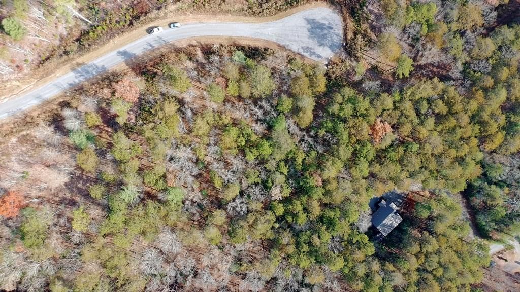 Lot 37 Ridgeline Lane, Mineral Bluff GA 30559 - Photo