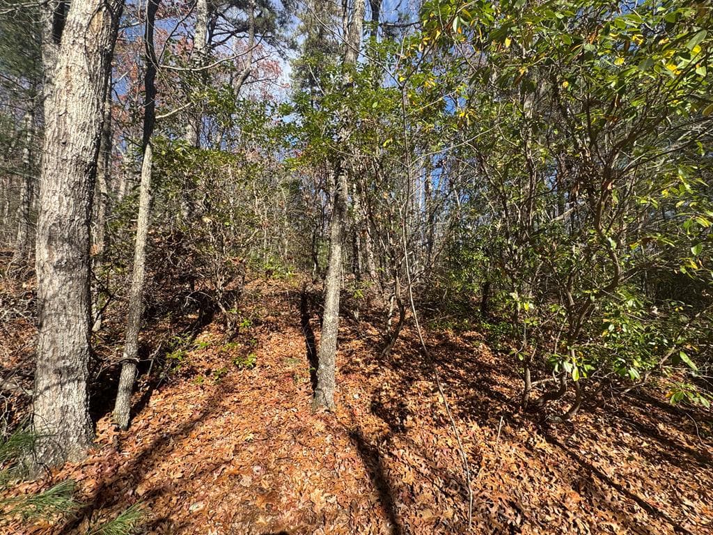 1982 Pinelog Church Road, Brasstown NC 28902 - Photo