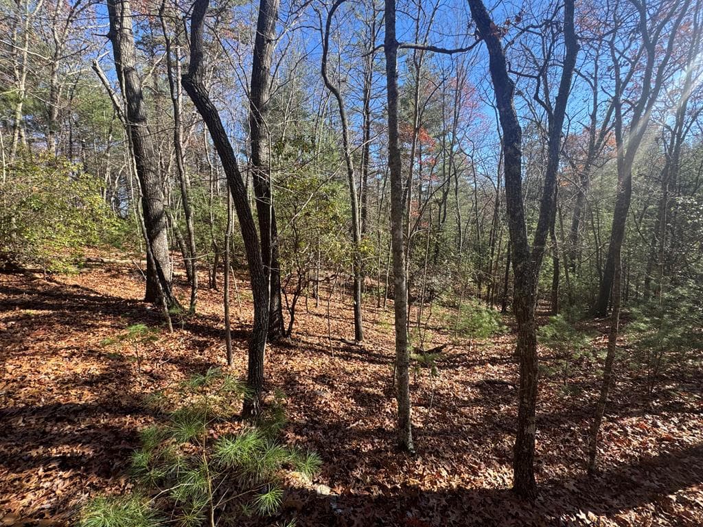 1982 Pinelog Church Road, Brasstown NC 28902 - Photo