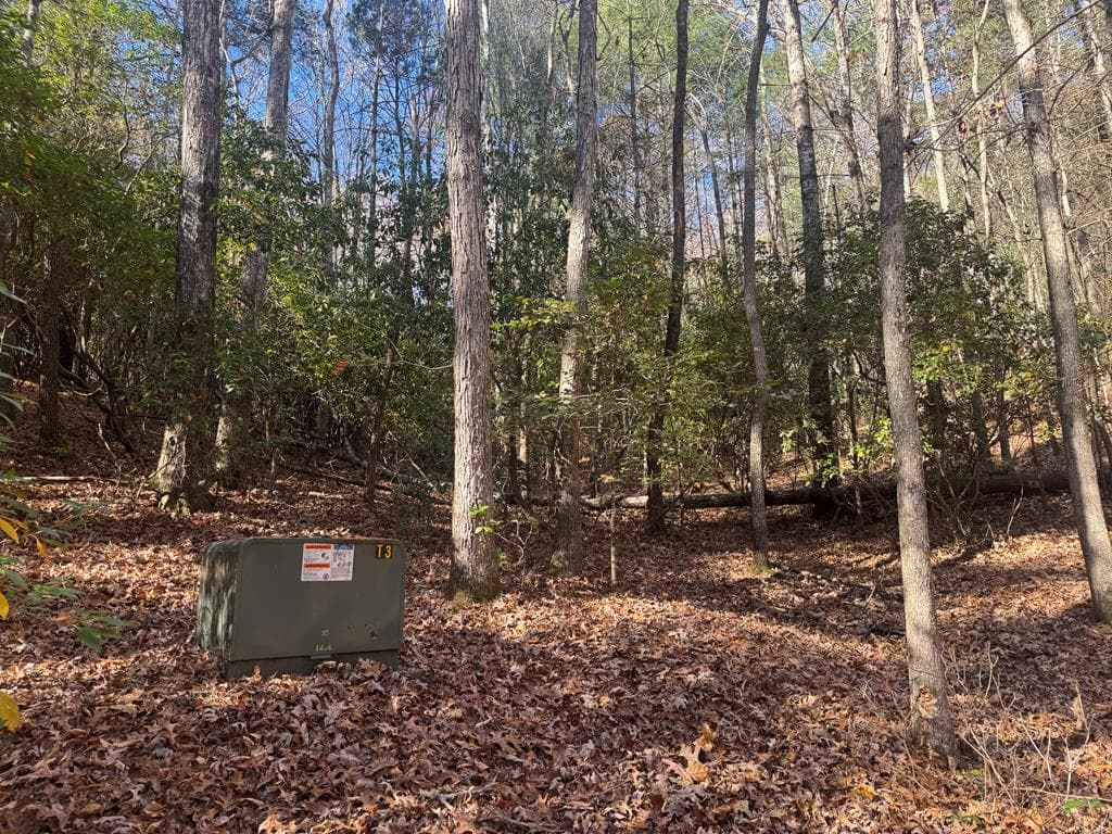 1982 Pinelog Church Road, Brasstown NC 28902 - Photo