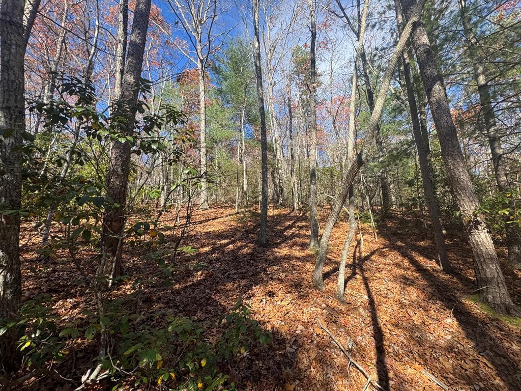 1982 Pinelog Church Road, Brasstown NC 28902 - Photo