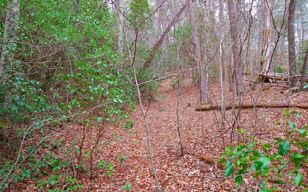 20 AC Hidaway Drive, Ellijay GA 30536 - Photo