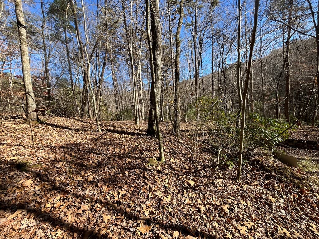 20 AC Hidaway Drive, Ellijay GA 30536 - Photo