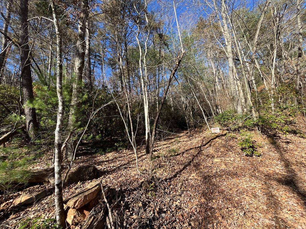 20 AC Hidaway Drive, Ellijay GA 30536 - Photo