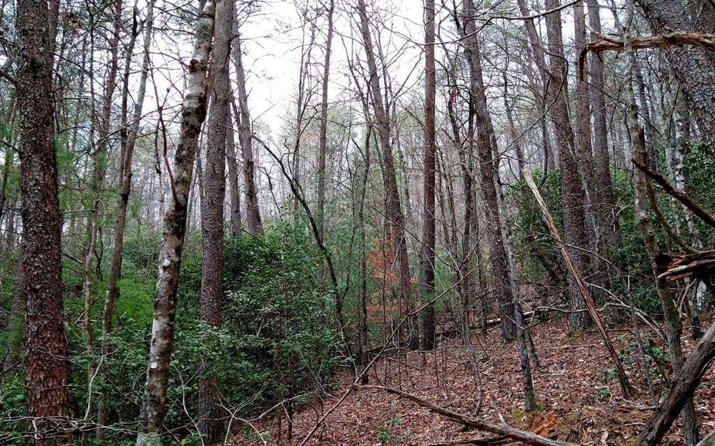 20 AC Hidaway Drive, Ellijay GA 30536 - Photo