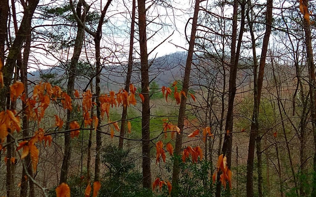 20 AC Hidaway Drive, Ellijay GA 30536 - Primary photo