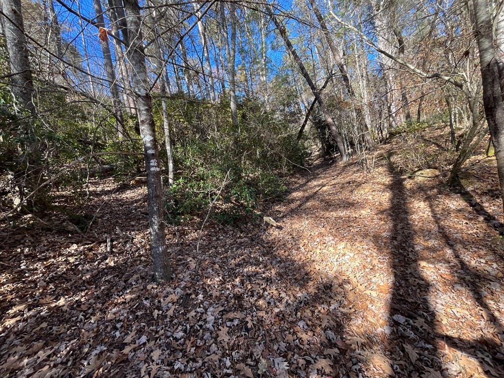 20 AC Hidaway Drive, Ellijay GA 30536 - Photo