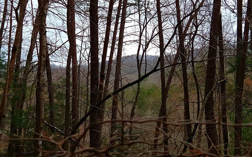 20 AC Hidaway Drive, Ellijay GA 30536 - Photo