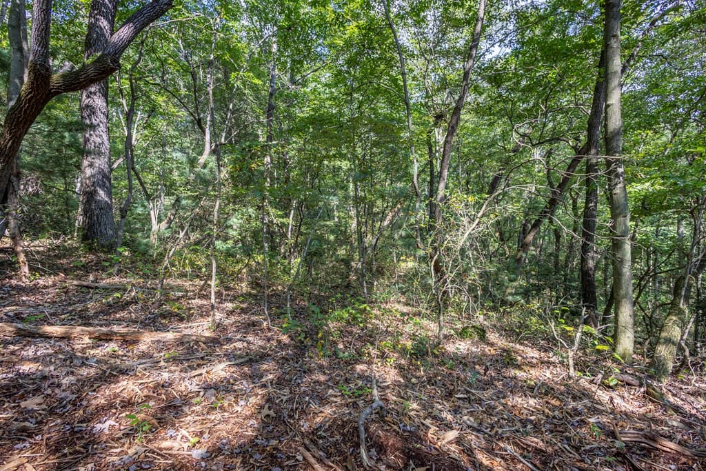 23.59 AC Chestnut Flats Road, Andrews NC 28901 - Photo