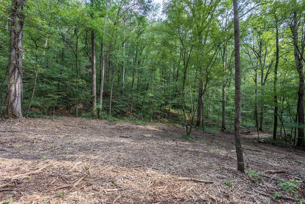 23.59 AC Chestnut Flats Road, Andrews NC 28901 - Photo