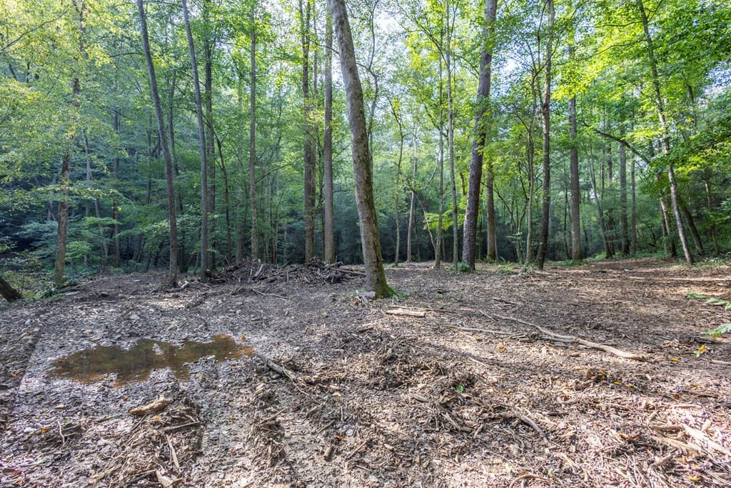 23.59 AC Chestnut Flats Road, Andrews NC 28901 - Photo