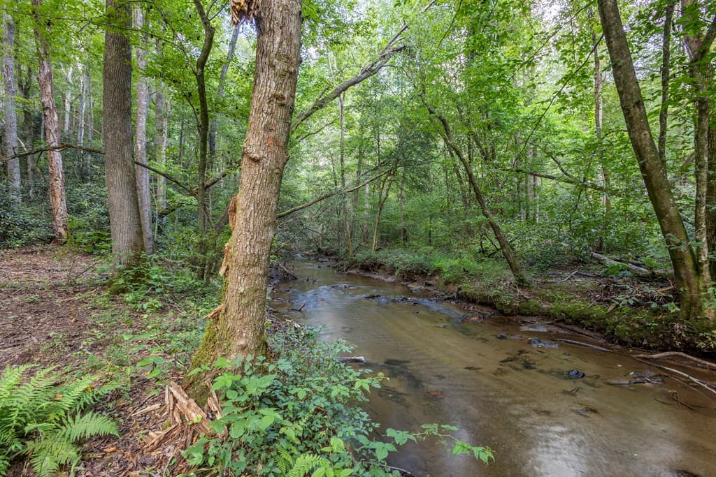 23.59 AC Chestnut Flats Road, Andrews NC 28901 - Photo