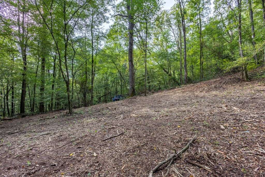 23.59 AC Chestnut Flats Road, Andrews NC 28901 - Photo