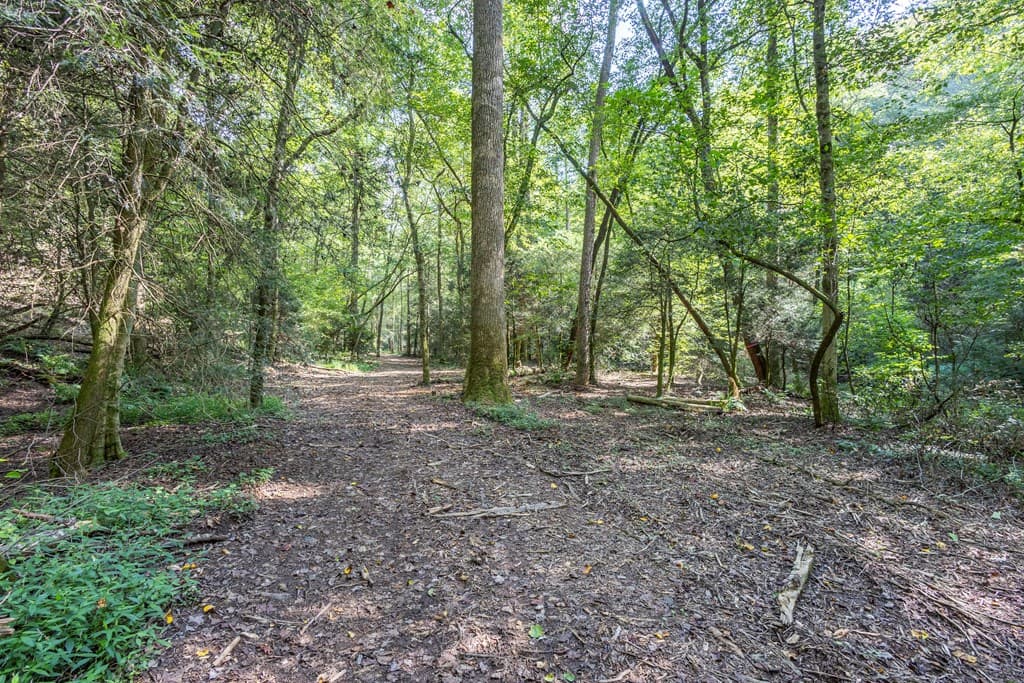23.59 AC Chestnut Flats Road, Andrews NC 28901 - Photo