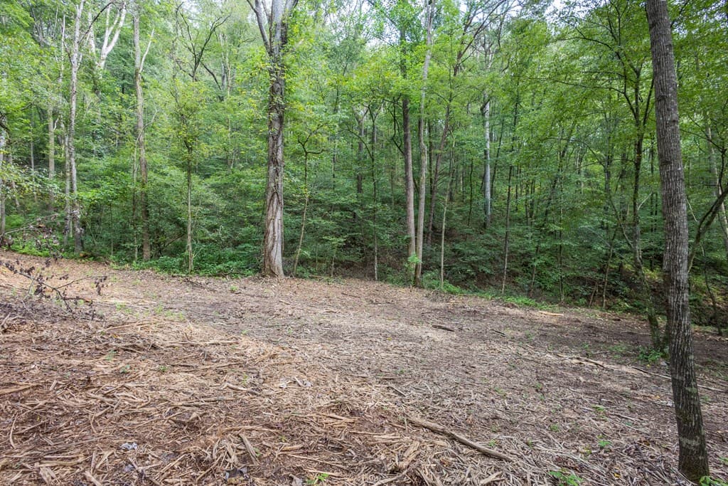 23.59 AC Chestnut Flats Road, Andrews NC 28901 - Photo