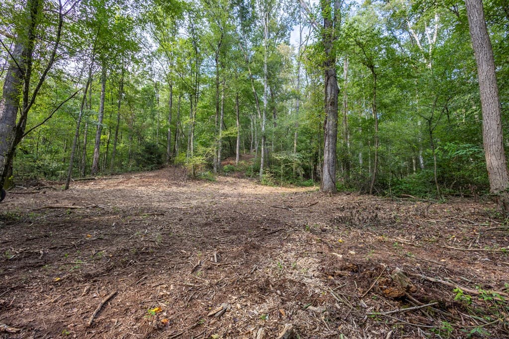 23.59 AC Chestnut Flats Road, Andrews NC 28901 - Photo