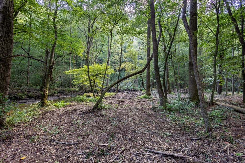 23.59 AC Chestnut Flats Road, Andrews NC 28901 - Photo