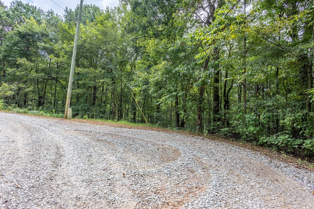 3 AC Chestnut Flats Road, Andrews NC 28901 - Photo