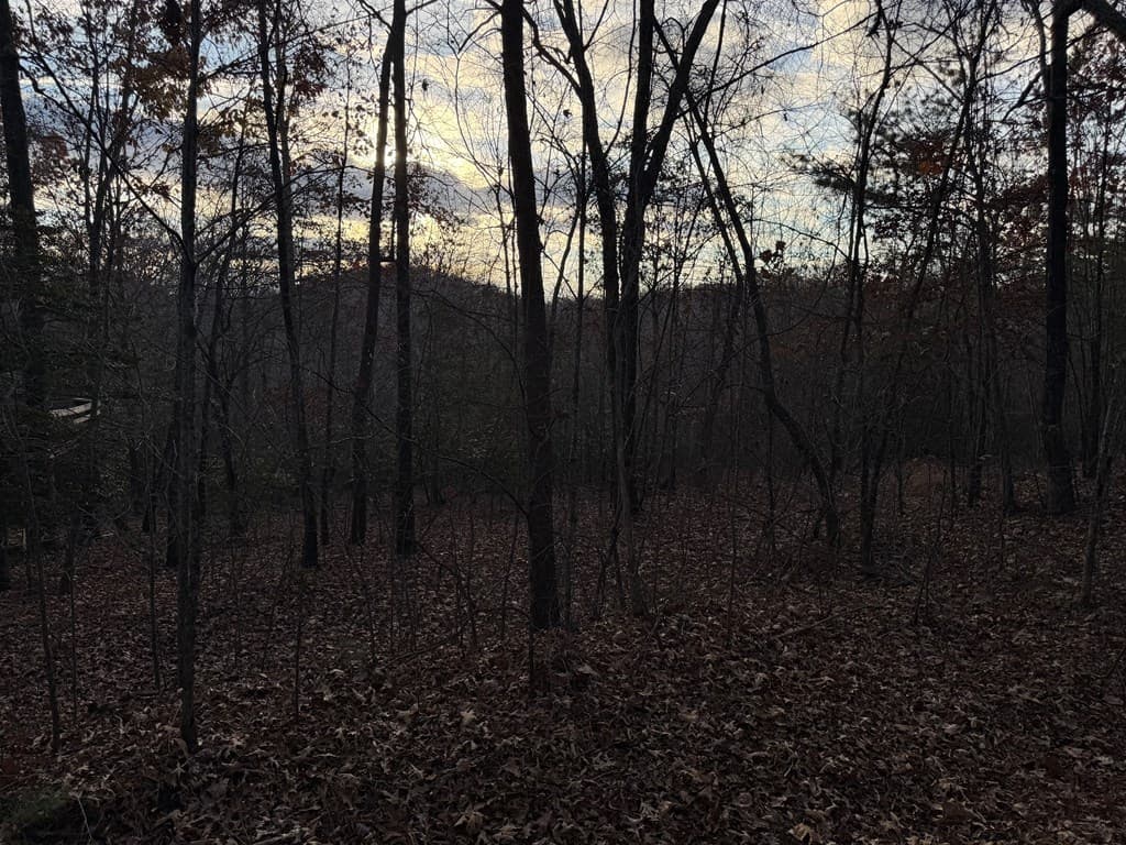 28/32 Stuart Ridge Road, Mineral Bluff GA 30559 - Photo