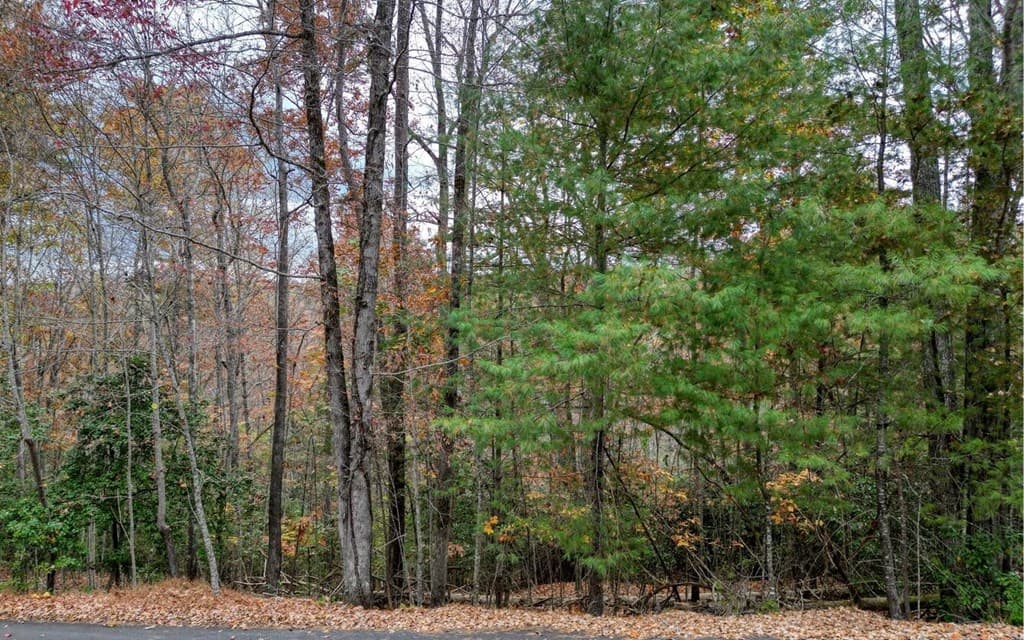 LT 10 Amy Lynn Drive, Blairsville GA 30512 - Photo