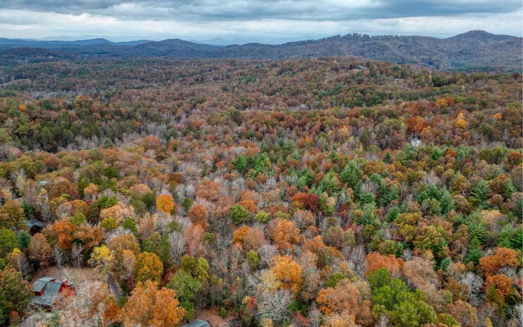 LT 10 Amy Lynn Drive, Blairsville GA 30512 - Photo
