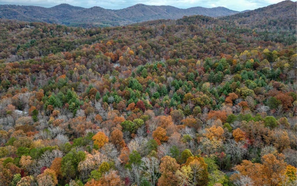 LT 10 Amy Lynn Drive, Blairsville GA 30512 - Photo