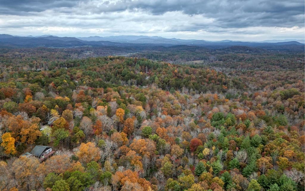 LT 10 Amy Lynn Drive, Blairsville GA 30512 - Photo