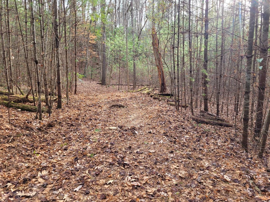 Lot 31 Poplar Cove, Hayesville NC 28904 - Photo