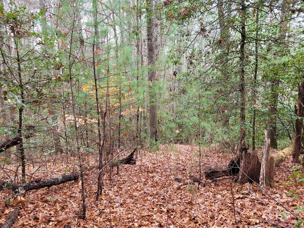 Lot 31 Poplar Cove, Hayesville NC 28904 - Photo