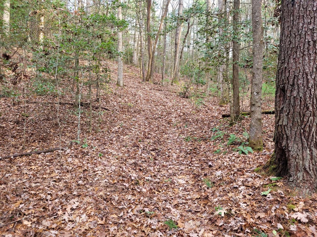Lot 31 Poplar Cove, Hayesville NC 28904 - Photo