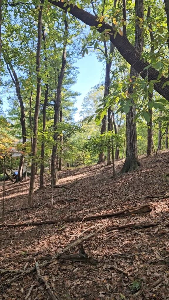 315 Windflower Drive, Big Canoe GA 30534 - Photo