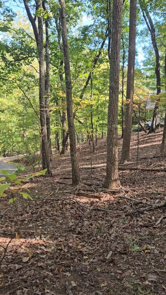 315 Windflower Drive, Big Canoe GA 30534 - Photo