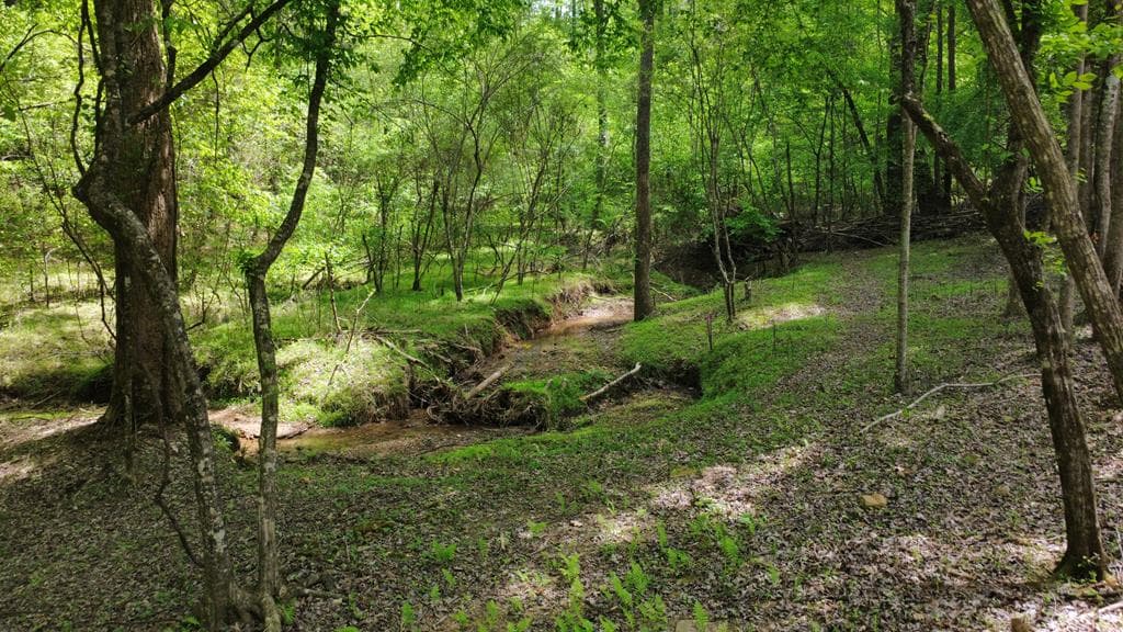 677 Catawba Circle, Ellijay GA 30540 - Photo